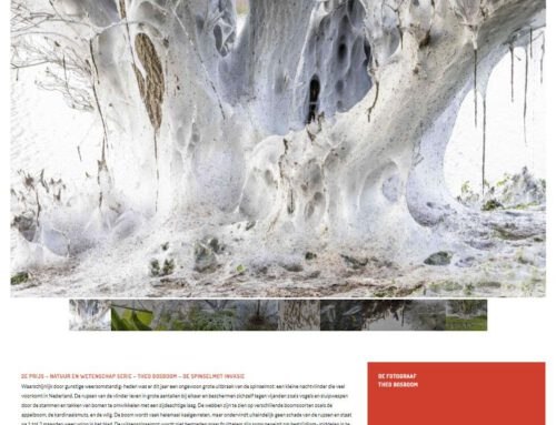 Theo Bosboom wint 2e prijs Natuur en Wetenschap serie Zilveren Camera