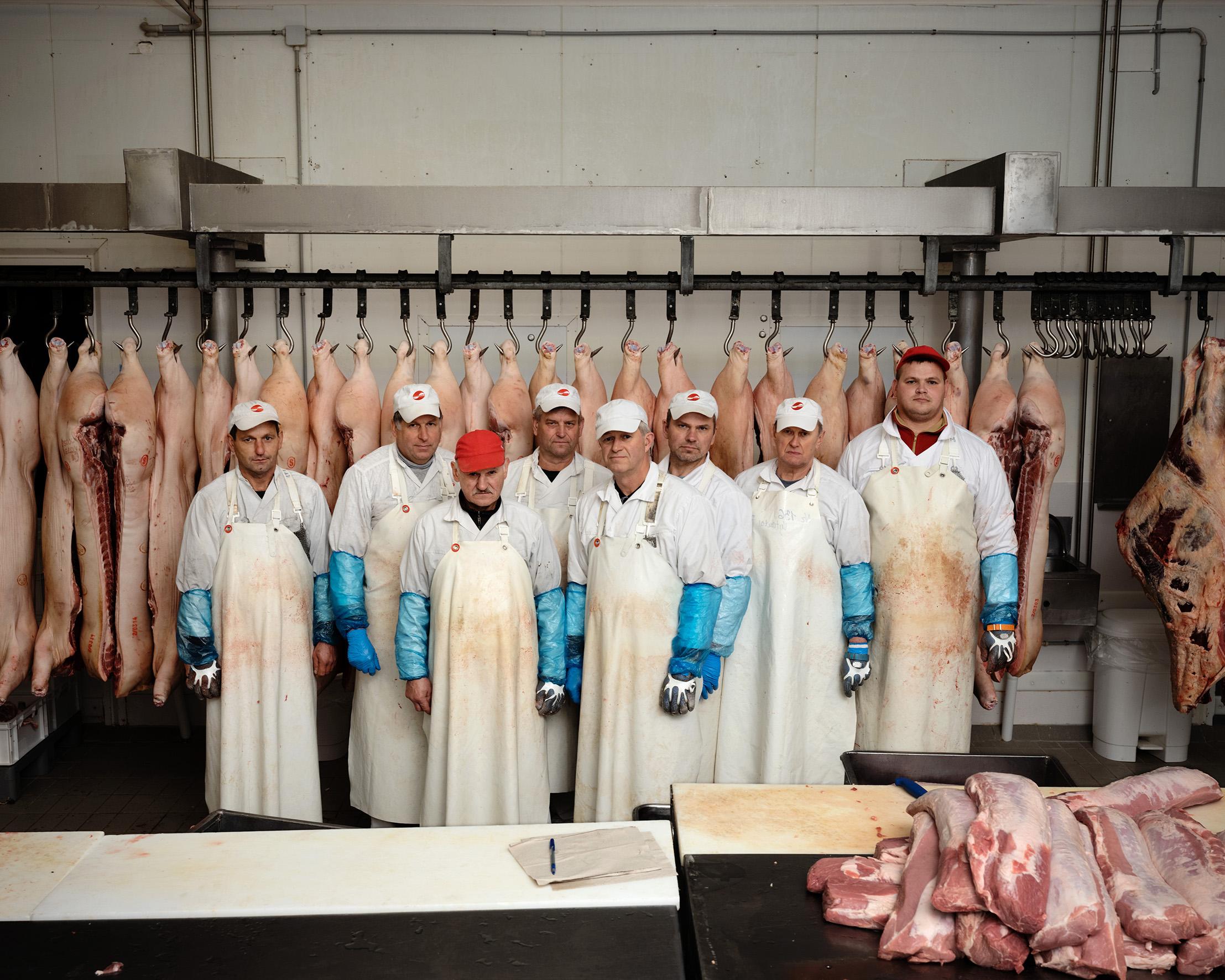 Sirvydai, LITHUANIA, 2019 - At the end of a muddy path deep in a forest at about thirty kilometres from Kaunas you can find a gigantic pig farm. Forty years ago this was the pig barn of the Soviet Union. In a small meat-processing factory next to the pigsties, the meat was processed into sausages and hams. Nowadays, the pig farm is part of a Danish company. The meat processing factory is Lithuanian and, with several hundred employees, one of the four major meat processors in this country. " Here in Lithuania people want to eat their own meat", says director Gediminas Tilindis. "Only a small part of our production is exported." Some 400 tonnes of pork are processed on a monthly basis. " Well, still", according to Tilindis. "In the future, people will have to pay much more for meat. Or we have to mix our meat with insects and worms. But the consumer is not ready for that yet. Here, people want to eat 'normally'. No more nonsense. No vegetarian. But in the future, changes are inevitable". The most popular product that leaves the meat-processing factory for the local market is the Frankfurter sausage. The director sees amazement in the eyes of his visitors and quickly adds that it's a unique Lithuanian recipe.